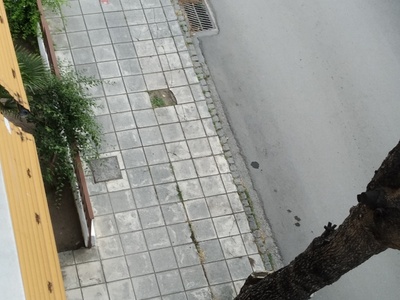 Φυτευση δέντρου