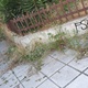 ΚΑΘΑΡΙΣΜΟΣ