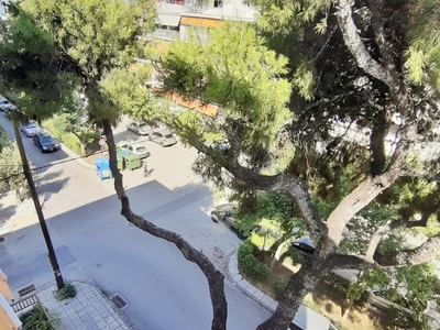 Πευκο επι της κολοτουρου 10