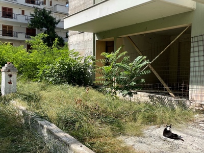 Βλάστηση σε εγκαταλελειμμένη ημιτελή οικοδομή