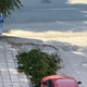 Κομμένα κλαδιά στον δρόμο