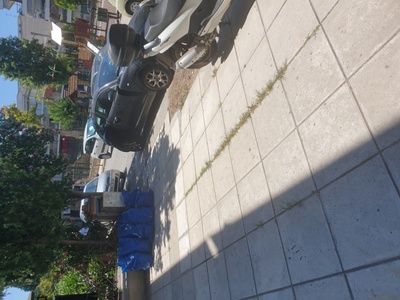 Σημείο δενδροφυτευσης