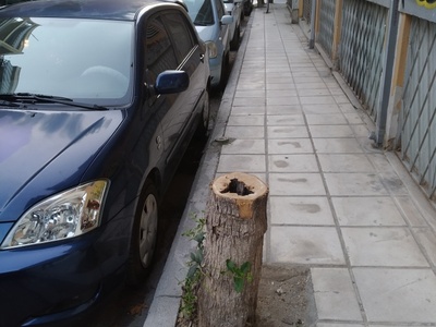 Εκρίζωση κορμού 