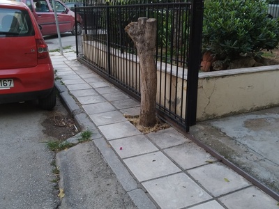 Εκρίζωση κορμού 