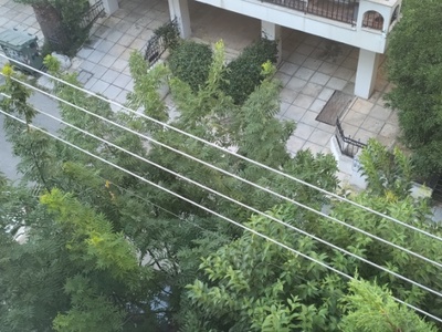 Κλαδια στα συρματα