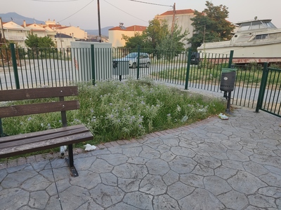 Φροντίδα παιδικής χαράς 