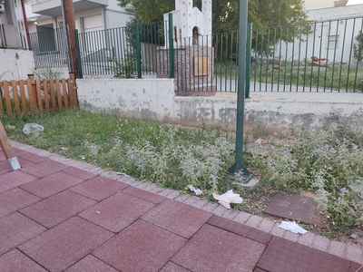 Φροντίδα παιδικής χαράς 