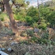 Καθαριοτητα-σκουπιδια