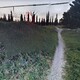 Ξερό δέντρο