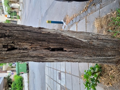 Κούφιο κσι έτοιμο να πέσει 