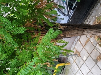 Κούφιο κσι έτοιμο να πέσει 