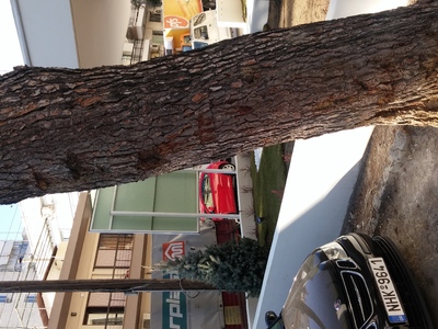 ΑΝΥΠΑΡΞΙΑ ΠΕΖΟΔΡΟΜΙΟΥ
