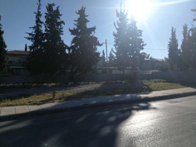 Φυτέψτε δέντρα 