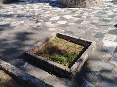 Φύτευση δέντρου 