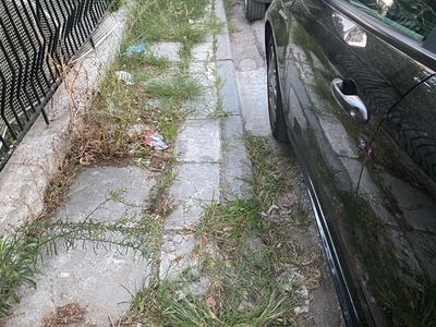 Ξεχορταριασμα πεζοδρομιου