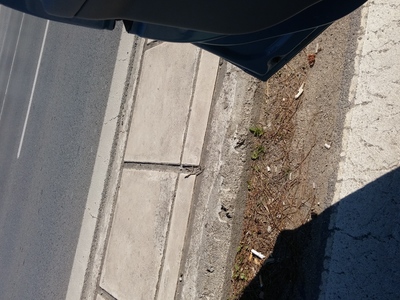 ΡΕΙΘΡΑ ΠΕΖΟΔΡΟΜΙΩΝ ΚΑΙ ΝΗΣΙΔΩΝ ΔΡΟΜΩΝ