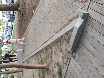 Σπασμένο κολωνάκι φωτισμού 