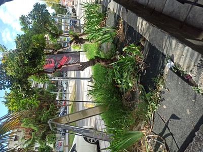 Sos ακουρευτα κηπακια