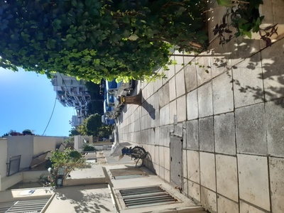 Δημιουργία δενδροδόχων