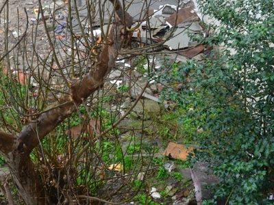 ΒΡΩΜΙΚΟ ΟΙΚΟΠΕΔΟ-ΕΣΤΙΑ ΜΟΛΥΝΣΗΣ