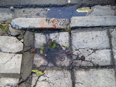 Κατεστραμμένα πλακάκια πεζοδρομίου στην οδό Ζηργάνου 36 (Βότση)