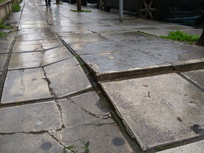 Σηκωμένες πλάκες πεζοδρομίου από ρίζες δέντρου