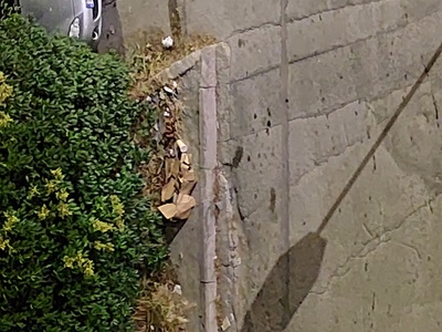 Καθαριότητα 