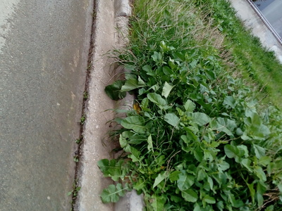 Πεζοδρόμιο???