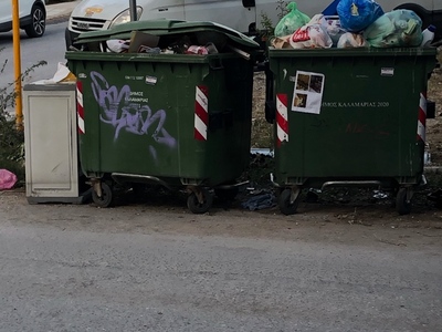 Αναγκαία τοποθέτηση επιπλέον πράσινου κάδου