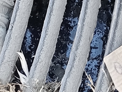 ΒΟΥΛΩΜΕΝΟ ΦΡΕΑΤΙΟ (ΦΙΛΙΚΛΗΣ ΕΤΑΙΡΕΙΑΣ)