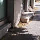 Καθαρισμός και αντικατάσταση κάδου ανακύκλωσης