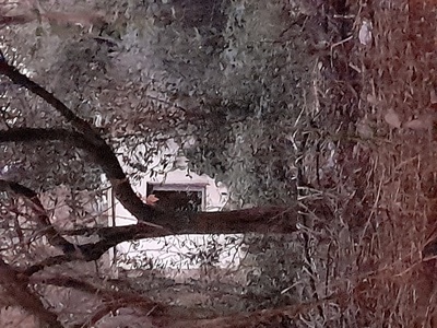 Σοσ σοσ σοσ 