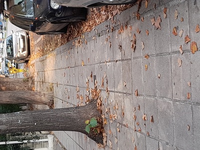 ΣΟΣ ΣΟΣ ΣΟΣ 