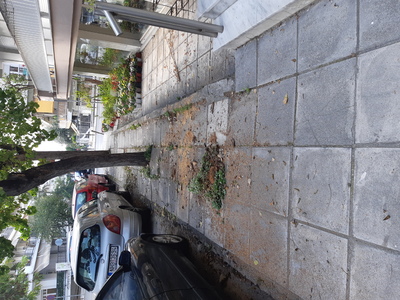 Συνέχεια της αναφοράς 13111(επικίνδυνο δένδρο)