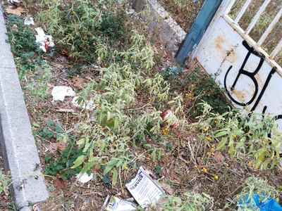 Σκουπιδια ελλιπής καθαριότητα 