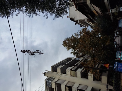 Κλαδιά που αιωρούνται 