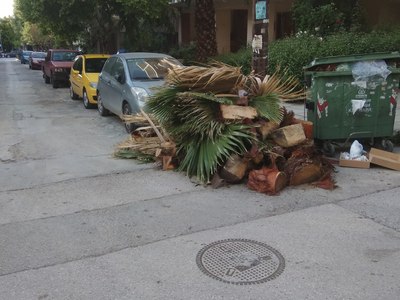 Κλαδιά στον δρόμο