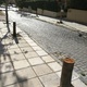 Φύτευση δέντρων
