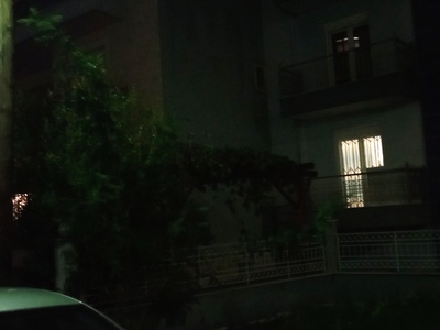 ΚΟΨΙΜΟ ΔΕΝΤΡΟΥ ΚΑΙ ΠΕΡΙΠΟΙΗΣΗ  ΟΙΚΟΠΕΔΟΥ  ΣΤΗΝ  ΠΑΠΑΤΣΕΧΙΛΙΔΗ ΜΕ ΓΕΝΝΗΜΑ 