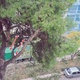 Σαπια Κλαδια με επικινδυνη κλιση