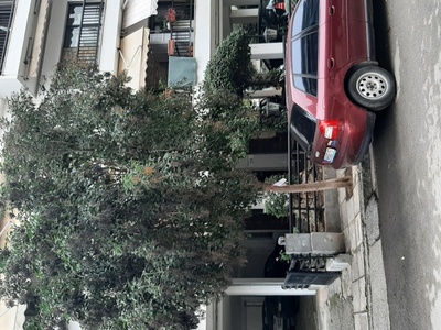 Κλάδεμα  δέντρου 