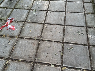 Δεντρα στην Τριπολεως