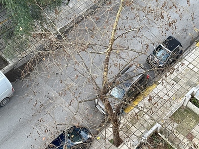 Κλαδεμα πλατανιων