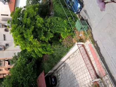 ΚΑΘΑΡΙΣΜΟΣ ΟΙΚΟΠΕΔΟΥ ΚΑΙ ΧΟΡΤΩΝ, ΞΕΡΩΝ ΚΛΑΔΙΩΝ