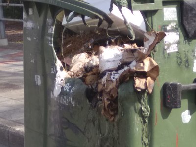 Καμένος καδος