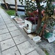 Εστία μόλυνσης και βρωμιάς