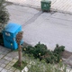 Αποκομιδή κλαδιών