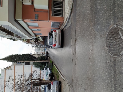 ΤΟΠΟΘΕΤΗΣΗ ΚΩΝΩΝ ΣΤΗΝ ΙΠΠΟΚΡΑΤΟΥΣ