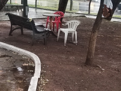 Καθαριοτητα (Στο παρκο του φοινικα)