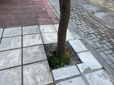 Καθιζηση και σπάσιμο αγωγού ΕΥΑΘ 